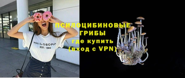 сатива Аркадак