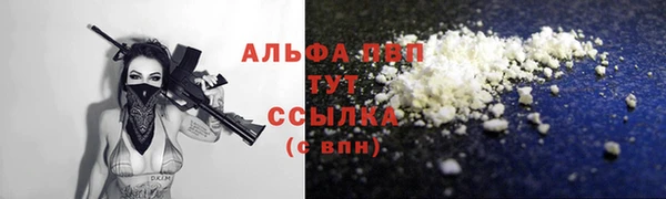 сатива Аркадак