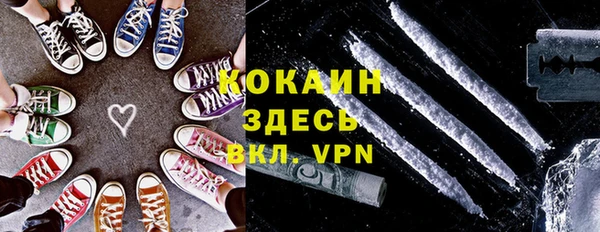 сатива Аркадак