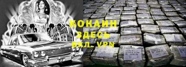 сатива Аркадак
