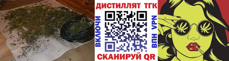 где купить Новодвинск Дистиллят ТГК гашишное масло