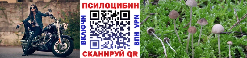 Галлюциногенные грибы GOLDEN TEACHER  нарко площадка наркотические препараты  Новодвинск 