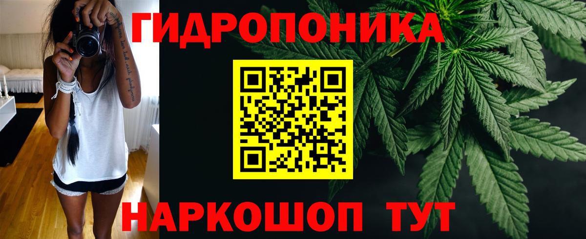 МАРИХУАНА SATIVA & INDICA  Вход с VPN  Марихуана семена  Новодвинск 
